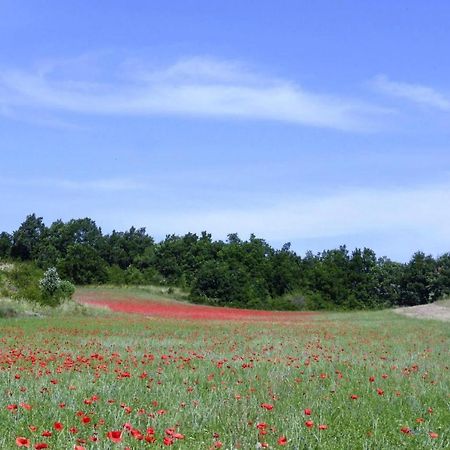 Charming Holiday Home With Private Garden, Revest-Du-Bion Exteriör bild